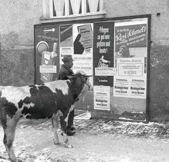 Plakatwand mit Ankündigungen für Aschermittwochsveranstaltungen, 1953